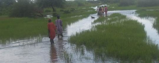 Gogrial East Official Reports Food Shortage Outbreak Of Diseases 