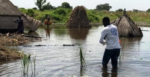 IOM responds to communities affected by the floods in hard-hit Ulang in Jonglei region. IOM /Olam Amum