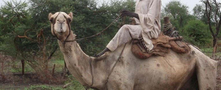 File photo: Blue Nile herder in Maban County, Upper Nile (Radio Tamazuj)