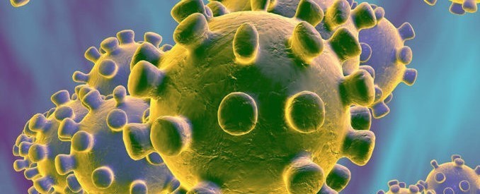 The coronavirus under a microscope (File photo)