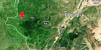 Photo: Gambela in Ethiopia (retrieved from Google maps)