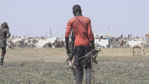 Armed cattle herders in Warrap in January 2020. [Photo: UNMISS]