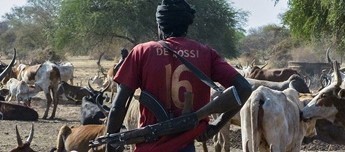 A man carrying a gun walks past cattle at Kirgui village in Udier. (Simon Maina, AFP)