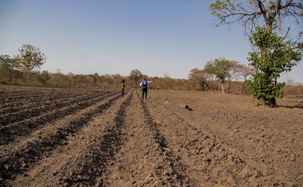 Communal farm land cleared by the community under the cash-for-work project. [Photo: IOM 2021/Aleon Visuals]
