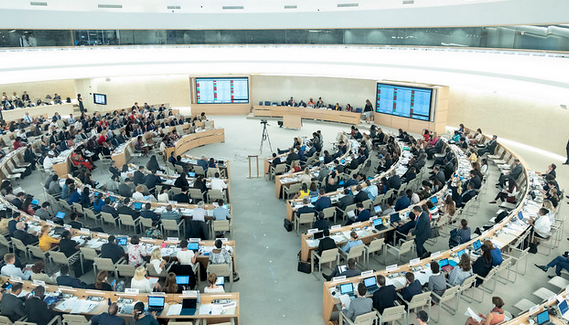 The United Nations Human Rights Council in session. UN Photo.