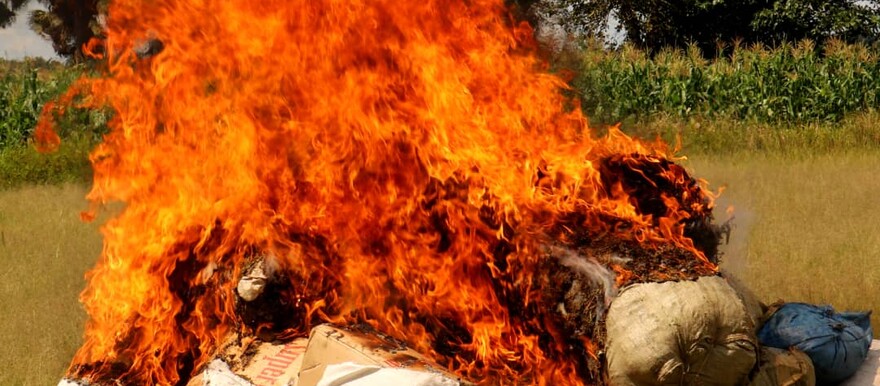 Bags of Bhang burnt in Yei River County, Central Equatoria State 19 October 2021. [Photo: Radio Tamazuj]