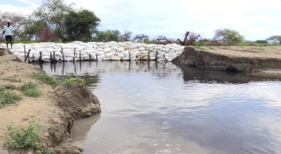 A dyke point rehabilitated by WFP last year. (Photo credit: WFP)