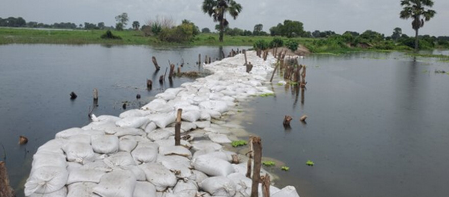 https://radiotamazuj.org/uploads/cache/article_detail_image/uploads/media/6278d78689328/bor-floods.jpg