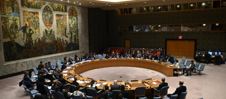 https://radiotamazuj.org/uploads/cache/article_detail_image/uploads/media/627b15378190d/unsc-pix.png