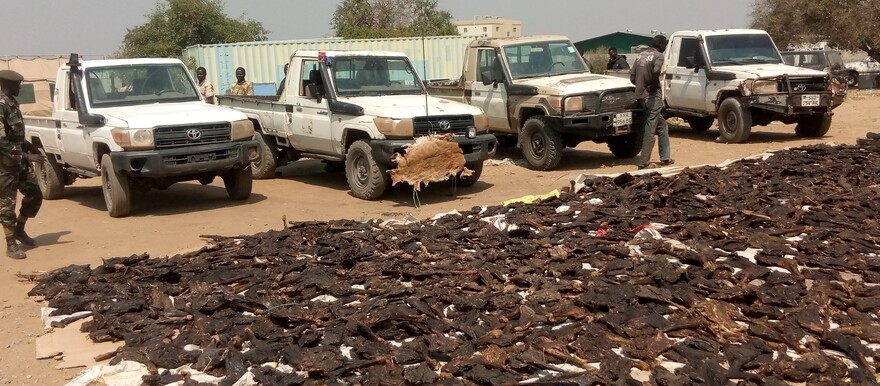A display of the seized game meat in Juba on 23 January 2023. [Photo: Radio Tamazuj]