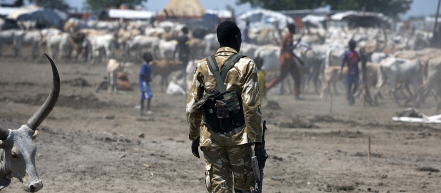 A South Sudanese soldier in Leer, South Sudan. (Photo: UNMISS)