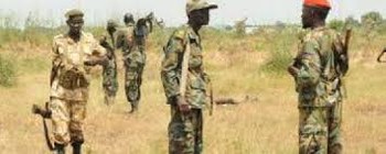 Photo: SPLA soldiers in Upper Nile (Radio Tamazuj)