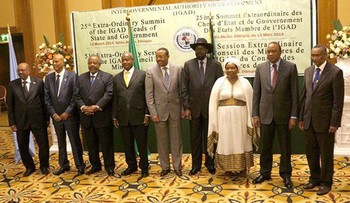 File photo: Leaders at the 25th Extraordinary Summit of the ‪IGAD Heads of States and Government in Addis Ababa, 2014. (IGAD Secretariat).