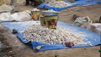 File photo: Cassava flour displaced for sell behind Dar el Salaam market in Yei. (Radio Tamazuj)