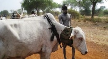 File photo: A cattle herder in South Sudan