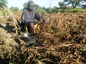 Farmland in Annuol County of Eastern Lakes State