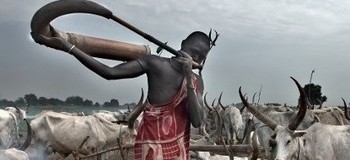 Photo: Mundari Herder using his cow horn musical instrument (Bahr el Jebel Safaris/Bruno Zanzottera)