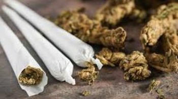 القاء القبض على إمرأة ورجل بحوزتهما 100 جرام من الحشيش بتويت راديو تمازج