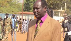 Division of Jongei needs wider consultation process: governor