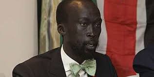 Machar's group slams IGAD, reiterates commitment to peace