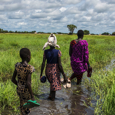 More than 3,000 households lack food, shelter in Nyirol | Radio Tamazuj