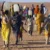 قتال الفاشر يدفع أكثر من 50 ألف للنزوح إلى جبل مرة بوسط دارفور