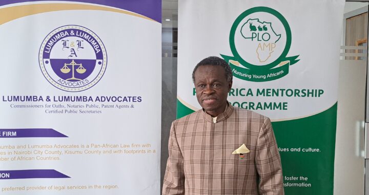 Q&A: ‘South Sudan’s problem is impunity’-Prof. PLO Lumumba