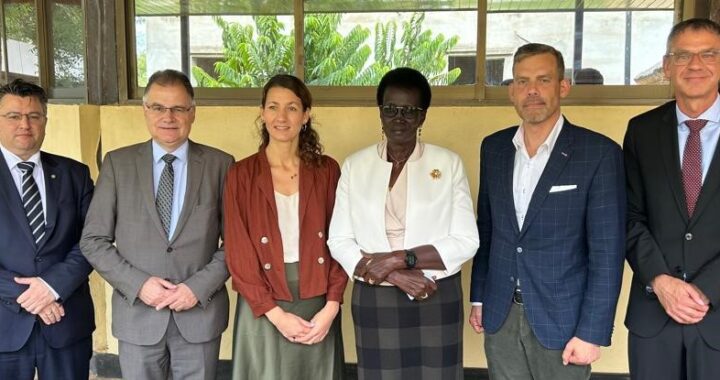 German MPs root for human rights protection in South Sudan