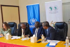 UNDP, AfDB launch job creation project in South Sudan