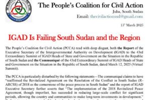 PCCA faults IGAD for doing a disservice to South Sudan, region