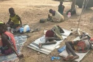 Cholera outbreak kills 155 in Greater Pibor