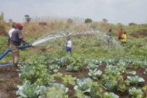 GIZ gives Magwi, Yei vegetable farmers water pumps