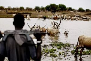 Four killed during cattle raid in Twic County